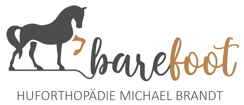 Logo und Branding für das Huforthopädieunternehmen Barefoot. Von Bianca Schelling.